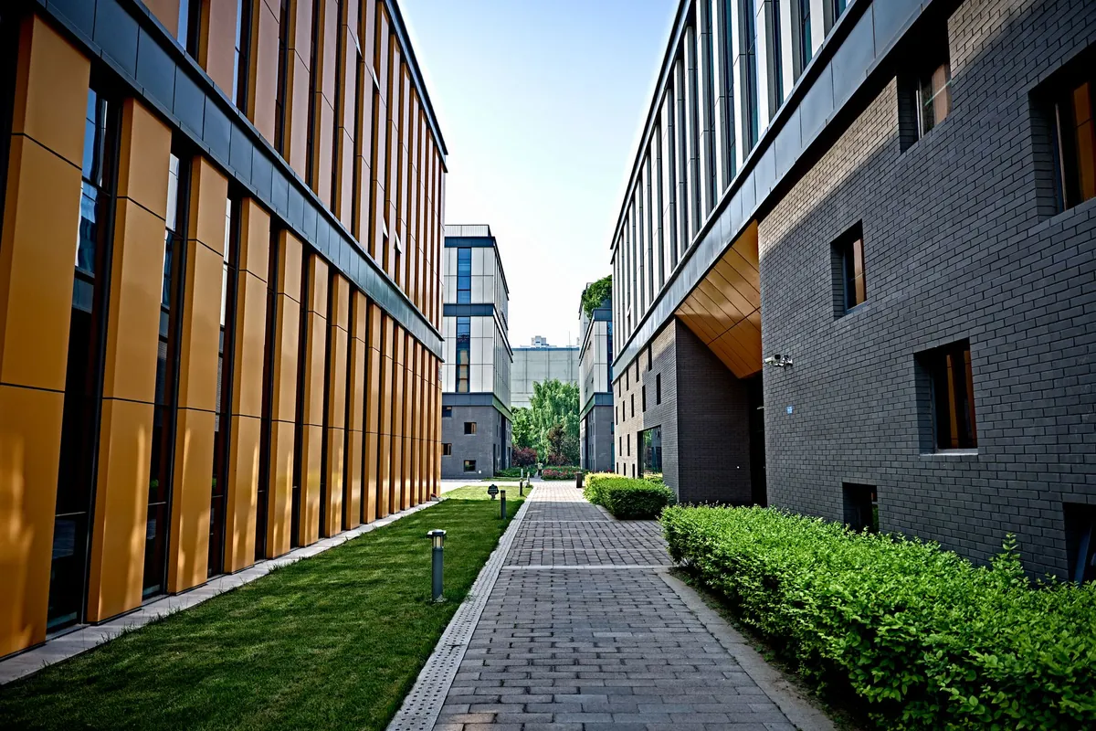 Paver walkway running between commercial buildings beside clipped hedges and a strip of lawn