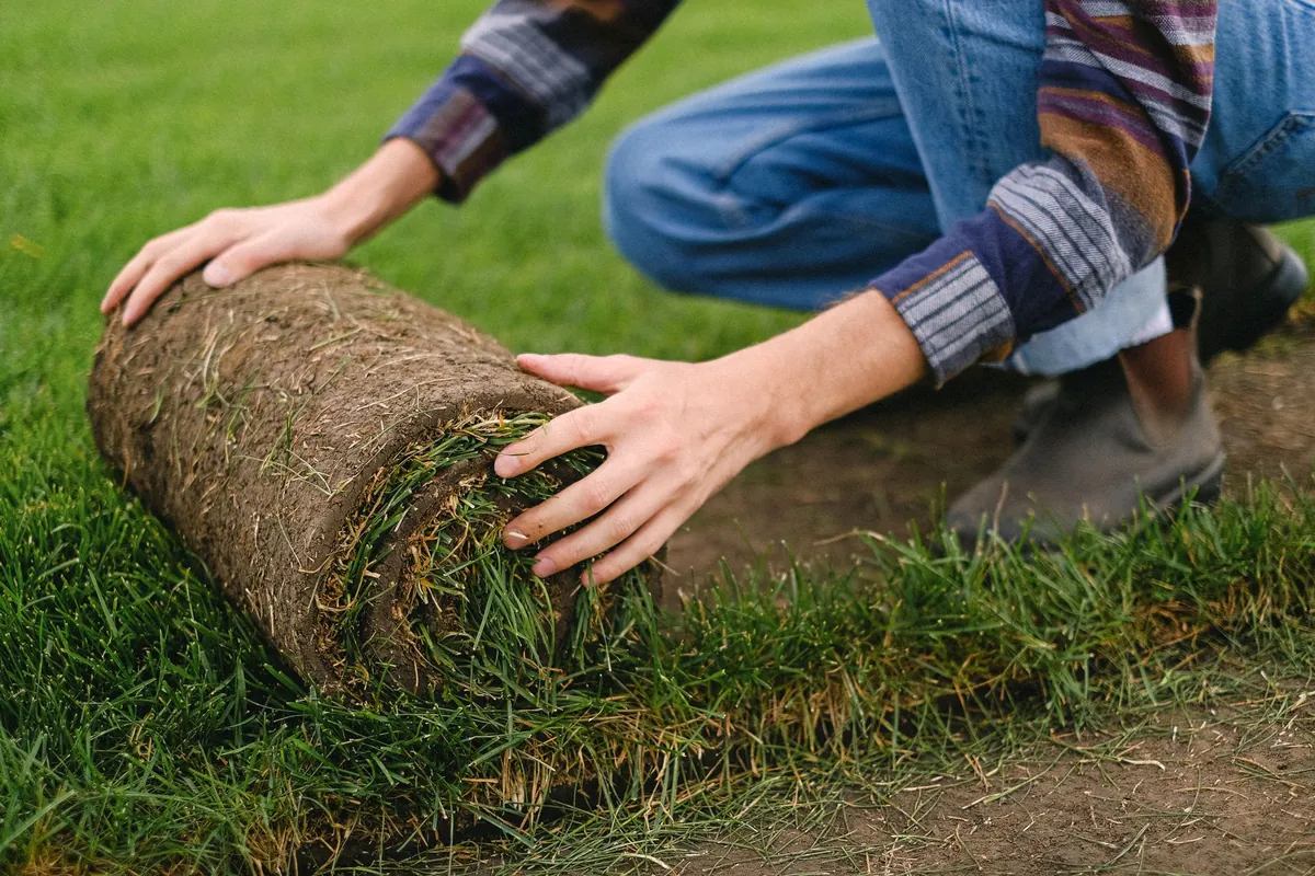 Hands unrolling a strip of fresh sod onto prepared soil at the edge of an established lawn