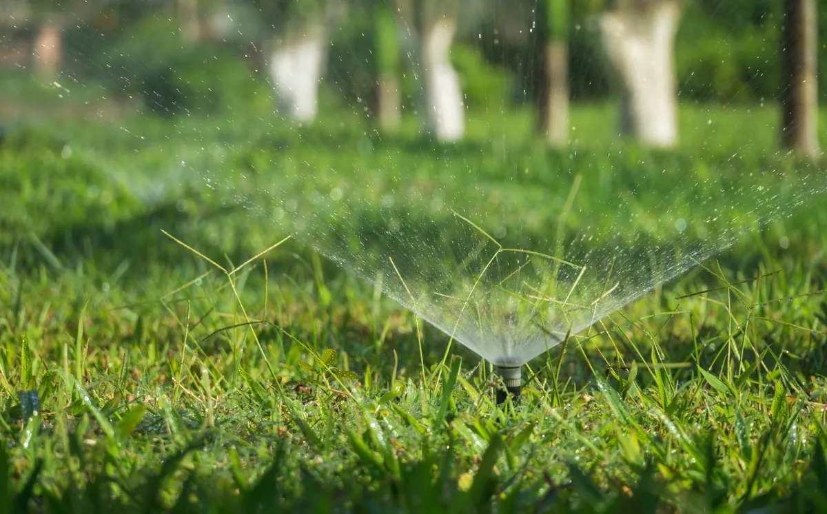 Lawn sprinkler throwing a fine spray of water across backlit green grass